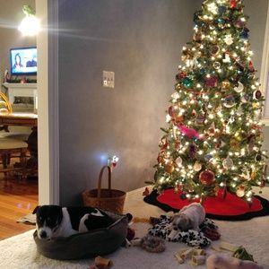 Meet your Posher, Abby